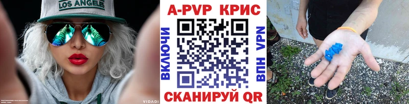 OMG вход Камышин APVP VHQ