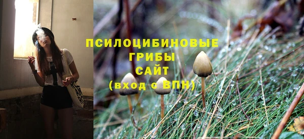 бутират Алзамай