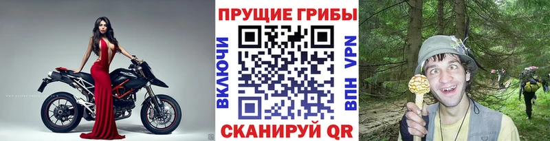 Псилоцибиновые грибы Magic Shrooms  Камышин 